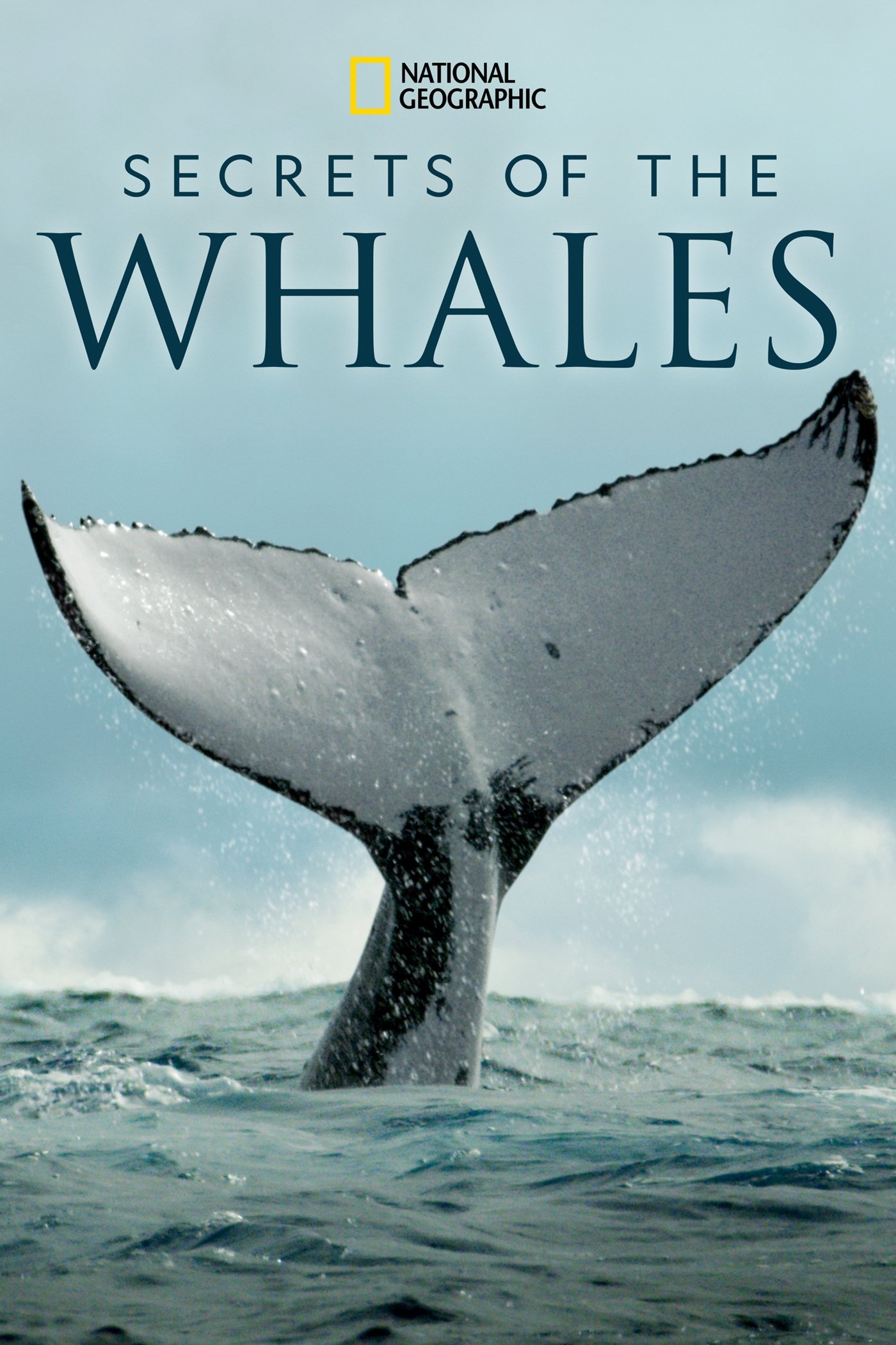 Secrets of the Whales [84610] (A1772247419) [[Shows 2.0]] --Plex--